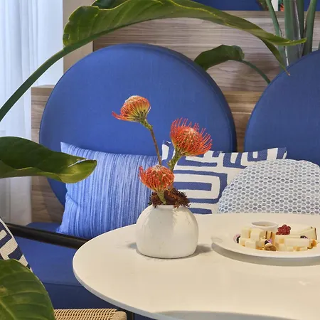 Barcelo Cruz Contemporaneo Otel